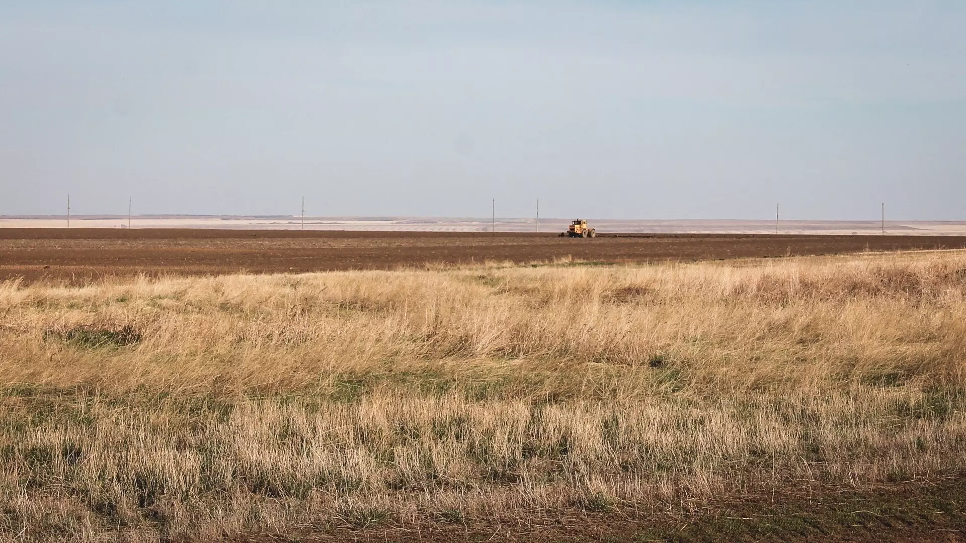 Российские зернотрейдеры считают, что зерно может стать «новой нефтью»