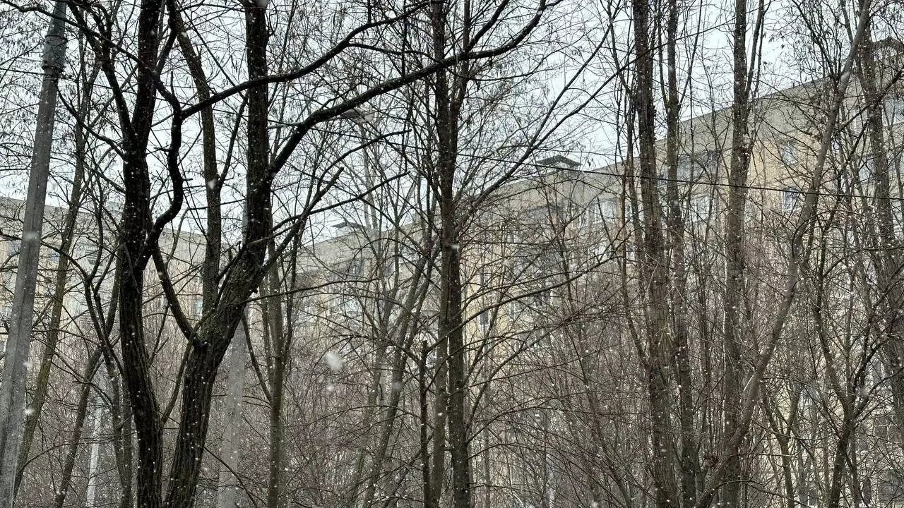 Снег в Белгороде