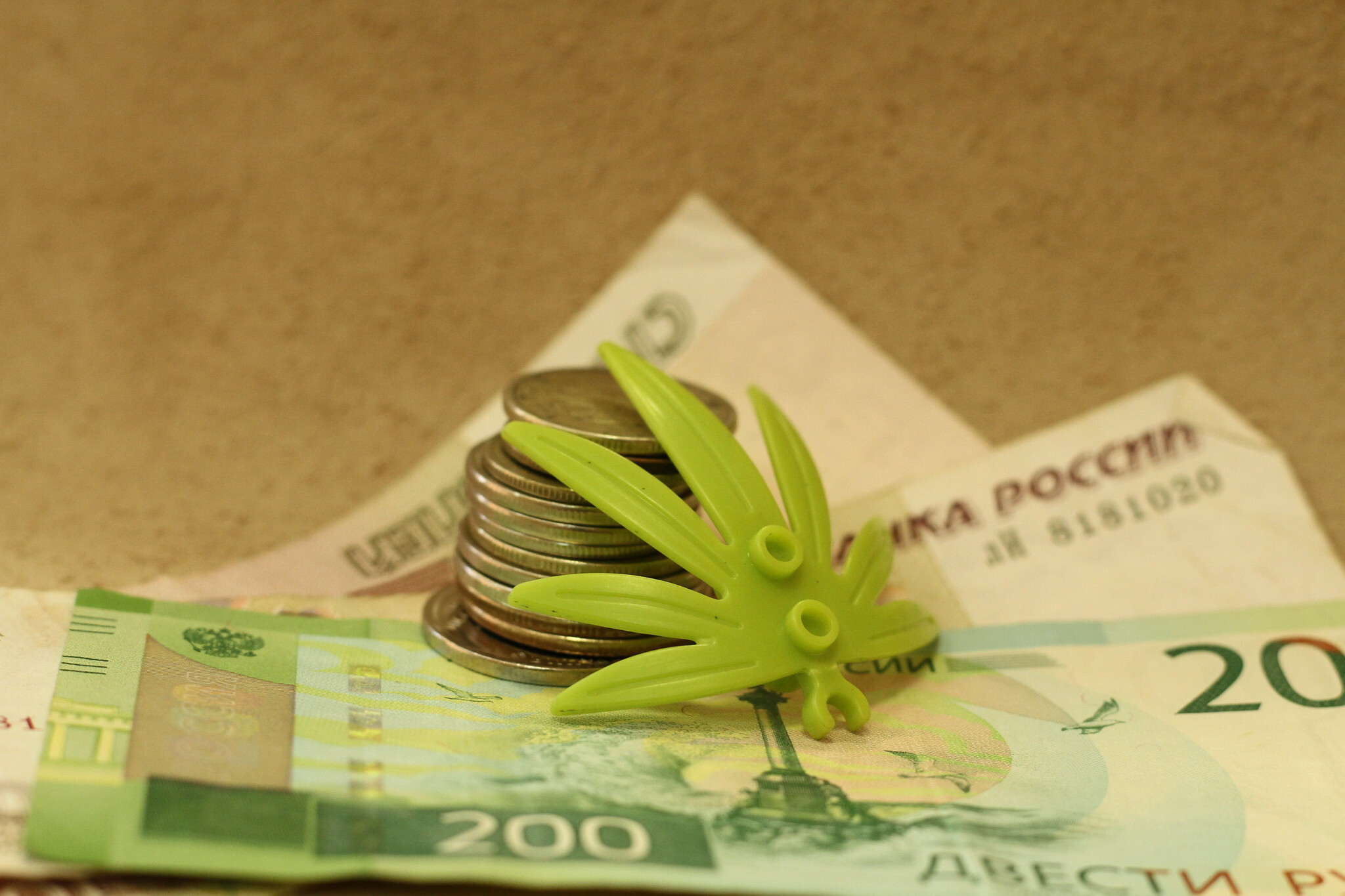 Белгородец хранил в стеклянных банках более 3 кг марихуаны