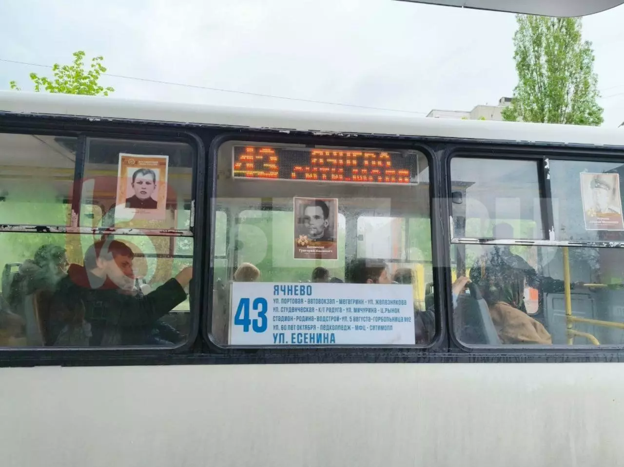 Портреты участников Великой Отечественной войны в автобусах в Белгороде
